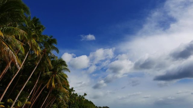 A video showing clouds moving over palm trees on San Juan beach, Siquijor Island.  Presented as real time.