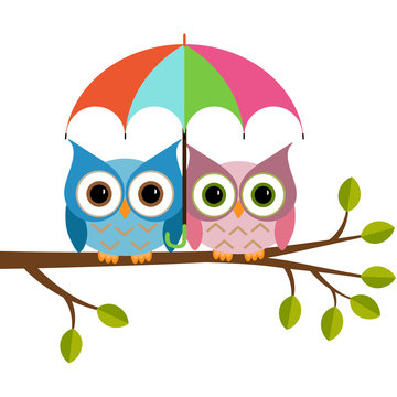 owl with umbrella on a branch
