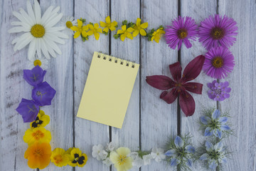 A note on a wooden surface framed by flowers 3