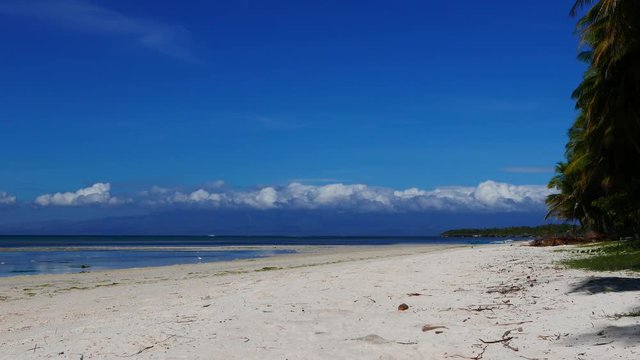 A bright clip from Siquijor white sand beaches. An egret can be seen roaming around low tide puddles looking for food. Presented in real time.