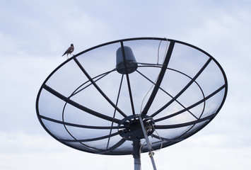 Satellite dish transmission data with blue sky background