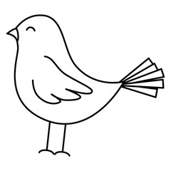 cute bird drawing icon