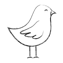 cute bird drawing icon