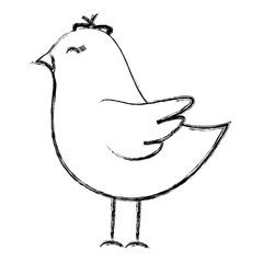 cute bird drawing icon