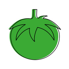 tomato vegetable icon image