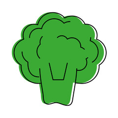 broccoli vegetable icon image