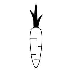 carrot vegetable icon image