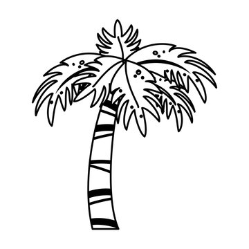 palm tree icon image