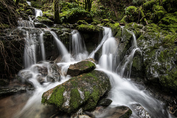 Fototapeta premium Waterfall