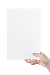 Woman Hand Holding Blank Paper Sheet.