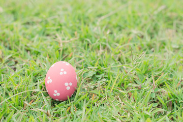 Pink color easter eggs on green grass