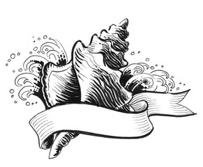 Sea shell and waves