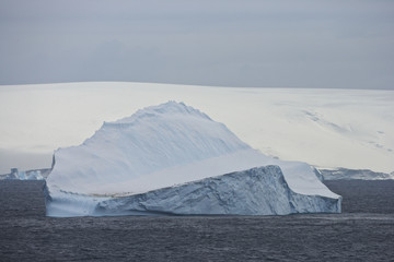 Penguins on Iceberg, Antarctic Sound, Antarctica