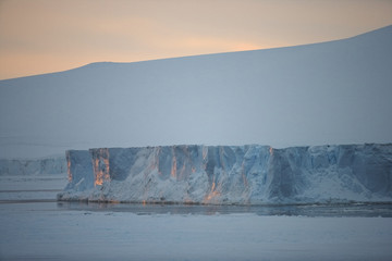 Icebergs in pack Ice, Antarctic Sound, Antarctica