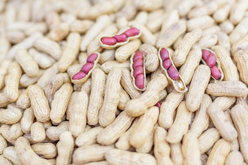 Peanuts seed