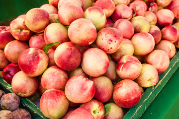 Fresh nectarines at the market