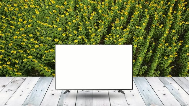 modern LCD monitor display on wood table with nature display