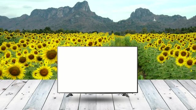 modern LCD monitor display on wood table with nature display