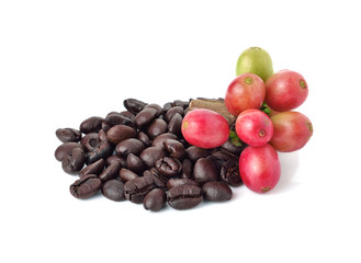 coffee beans on white background