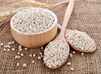 pearls barley grain seed on background
