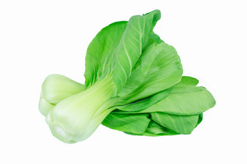 Bok choy (chinese cabbage) isolated on white