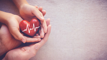 adult and child hands holiding red heart with cardiogram, health care love and family concept, world health day, world hypertension day, praying concept