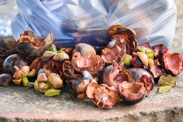 Piles of mangosteen peels.