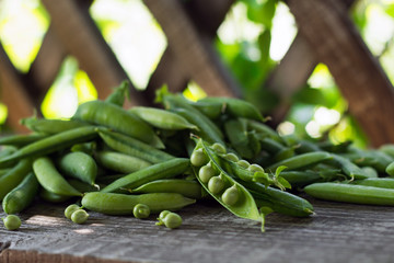 pods of young green juicy peas in the gazebo on a wooden bench in summer