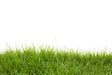 green grass on white background