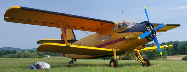 Old sports airplane on a meadow