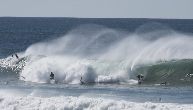 surfers catch big waves along the Queensland coast, Australia, at Surfers Paradise.