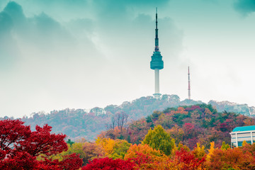 Namsan Seoul Tower and autumn maple tree mountain in Korea