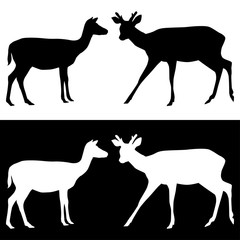 Sika deer with horns. Black and white silhouettes