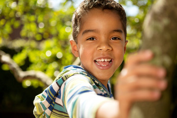 Little boy playing in a tree.