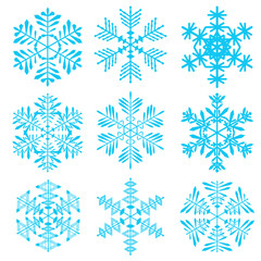 Fototapeta premium A set of snowflakes. Vector snowflakes on a white background.