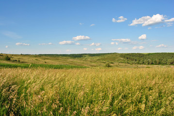 Field on the green hills, forests in the background, cloudy sky, Ukraine