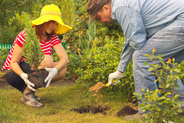 couple planting a tree together on a summer day