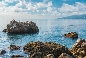 Black Sea wild water-scape with group of cormorants sitting on a big rock