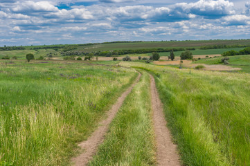 Fototapeta na wymiar Earth road through fresh summer meadow near Dnipro city in central Ukraine