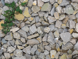 Stones, grass, ground-for the background