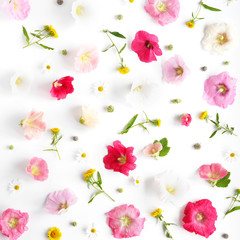 Pink mallow flowers isolated on white background. Abstract floral composition. Flower pattern. Frame of plants and flowers. Top view, flat lay.