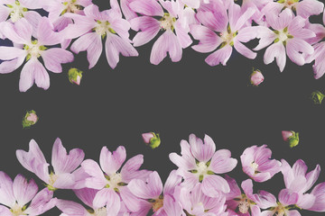 Fototapeta na wymiar Pink flowers on a dark background. Abstract floral composition. Pattern frame of plants. Top view, flat lay. Floral, plants background.