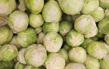 Fototapeta na wymiar Cabbage on the market