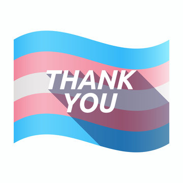 Isolated transgender flag with    the text THANK YOU