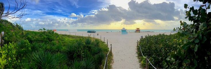 Fototapeta na wymiar Beauty of Miami Beach