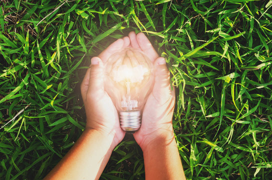 hand hold light bulb on grass  with sunset power energy concept