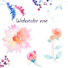 Watercolor flowers and plants