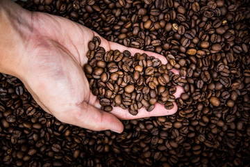 Group of coffee bean on hand