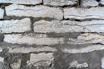 Fototapeta premium Texture of the old limestone wall