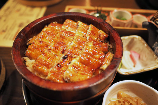 Grilled eel with rice bowl